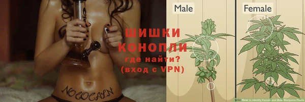 гидропоника Бронницы