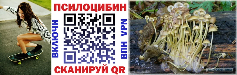 Галлюциногенные грибы мицелий  Грязовец 
